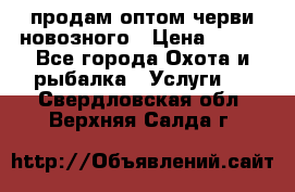 продам оптом черви новозного › Цена ­ 600 - Все города Охота и рыбалка » Услуги   . Свердловская обл.,Верхняя Салда г.